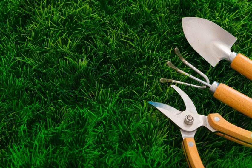 Servicio de Jardinería OMC